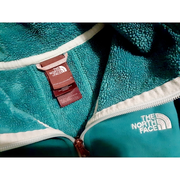 The North Face Palmeri Jacket (Kokomo Green) - Picture 14 of 16